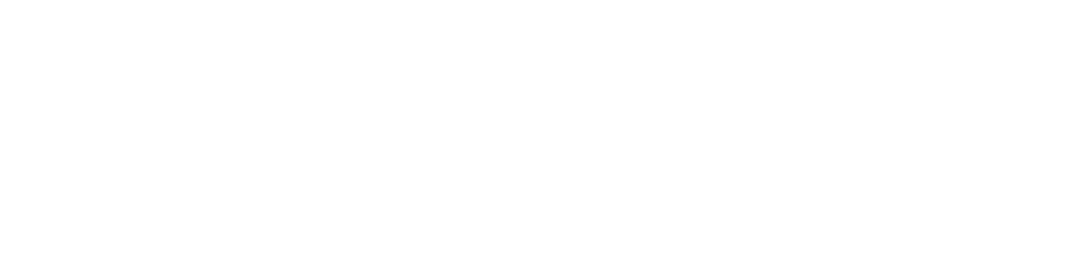 Ocean Cargo Footer Logo